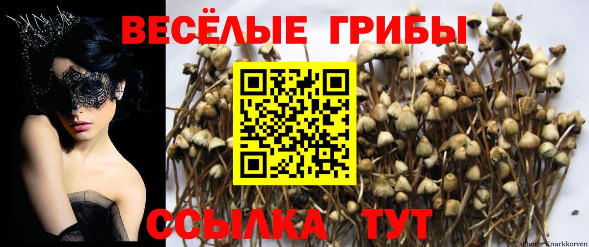 Галлюциногенные грибы MAGIC MUSHROOMS  Вход с VPN  наркотики  Менделеевск 